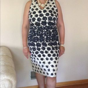 Navy & cream Ann Taylor dress